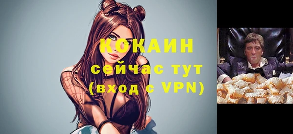 дмт Новодвинск