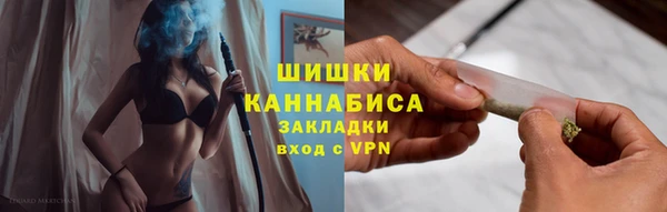 дмт Новодвинск