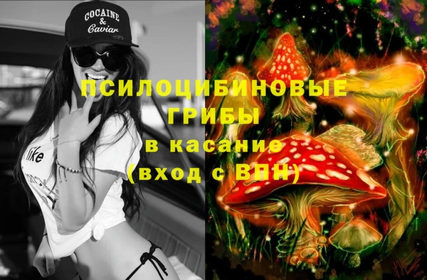 прущие грибы Гусь-Хрустальный