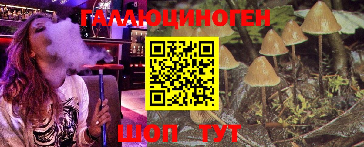 Галлюциногенные грибы мухоморы Лиски