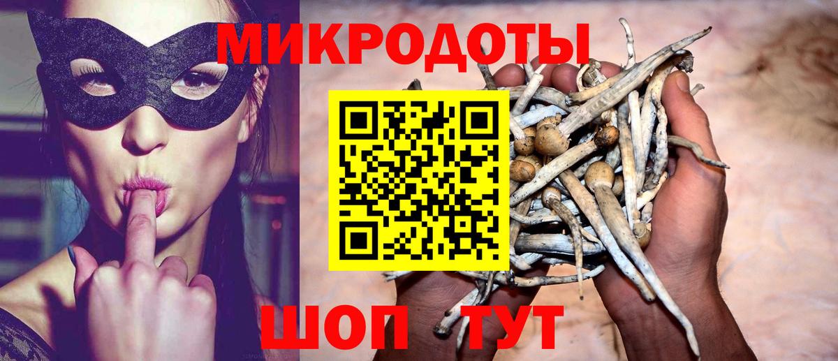 Галлюциногенные грибы Psilocybe  Галлюциногенные грибы мухоморы  Вход с VPN  Лиски 